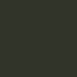 Стекломагниевый лист (СМЛ) RAL 6008 Коричнево-зелёный
